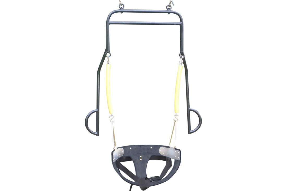Adult Disabled Swing Seat with Support Frame