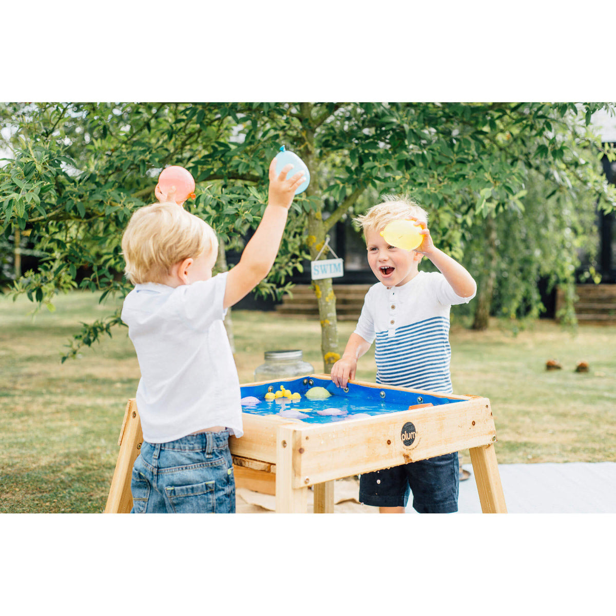 Plum Sand and Water Table