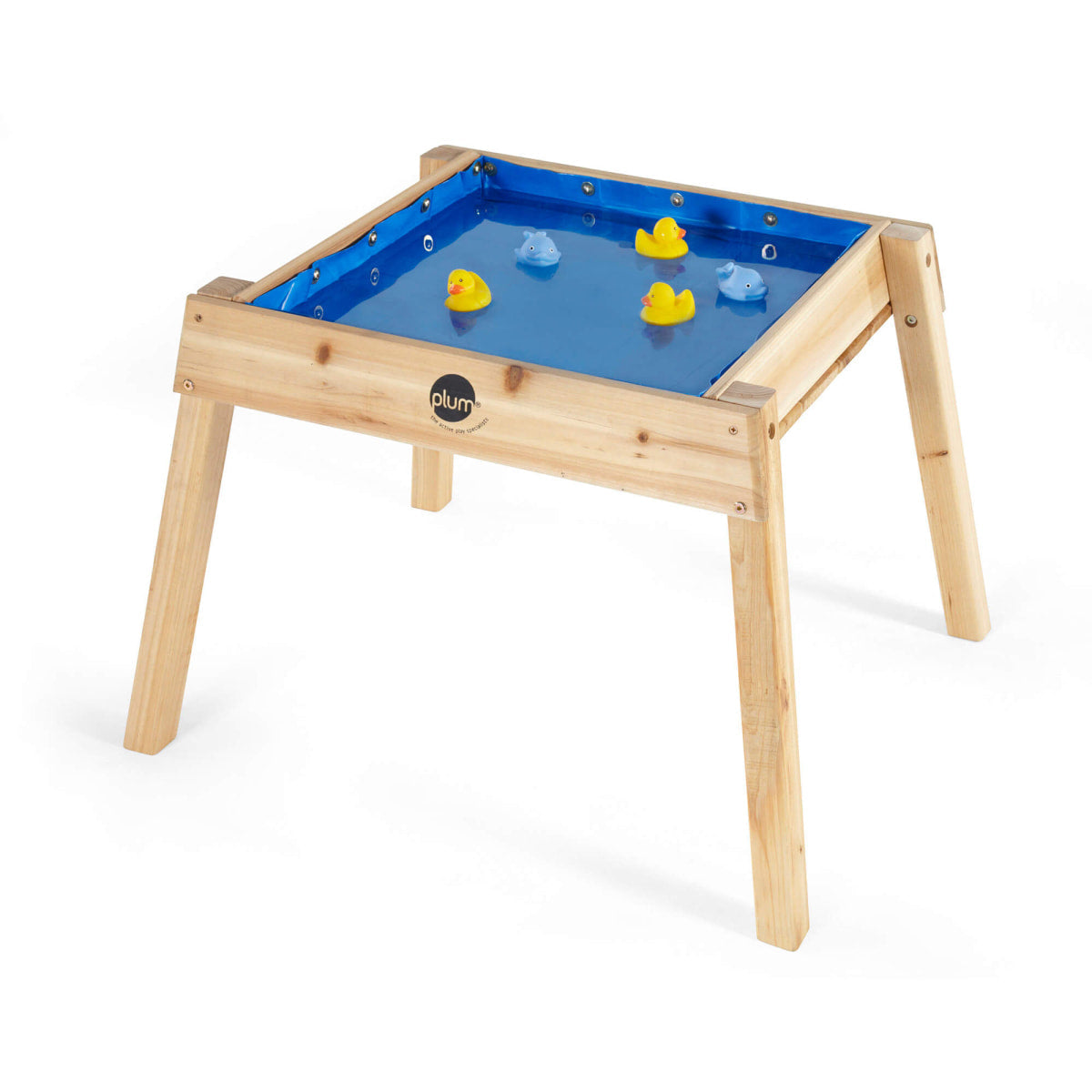 Plum Sand and Water Table