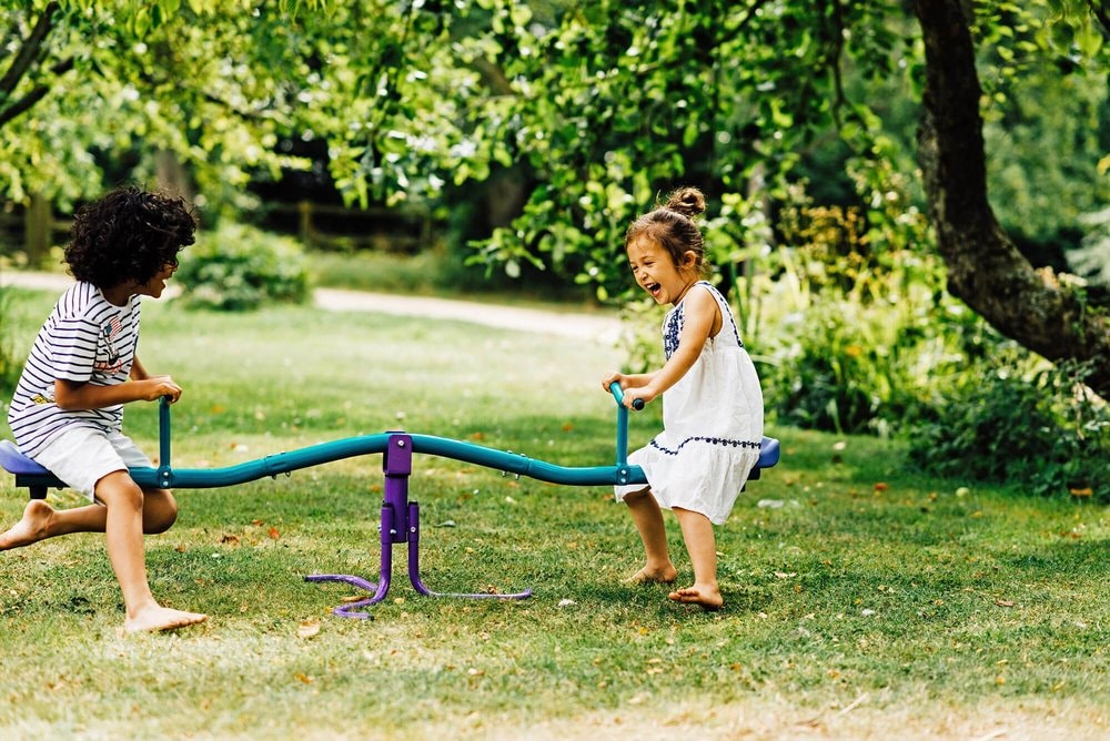 Plum Rotating Metal Kids See Saw
