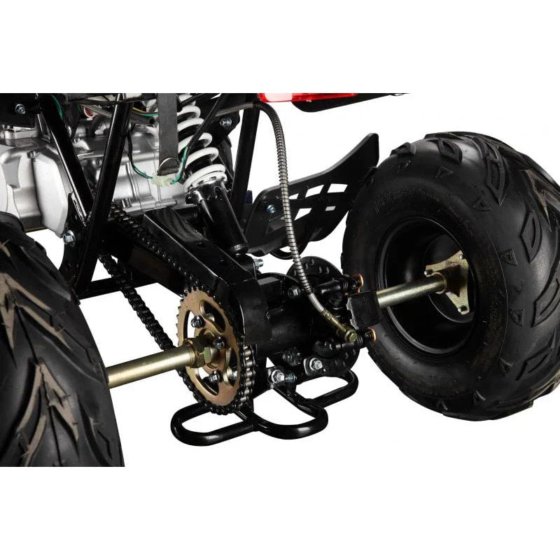 The Beast GMX 110cc Sports Kids Quad Bike - Blue