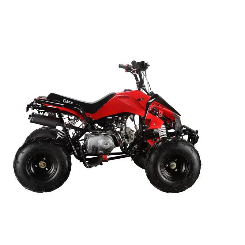 The Beast GMX 110cc Sports Kids Quad Bike - Red