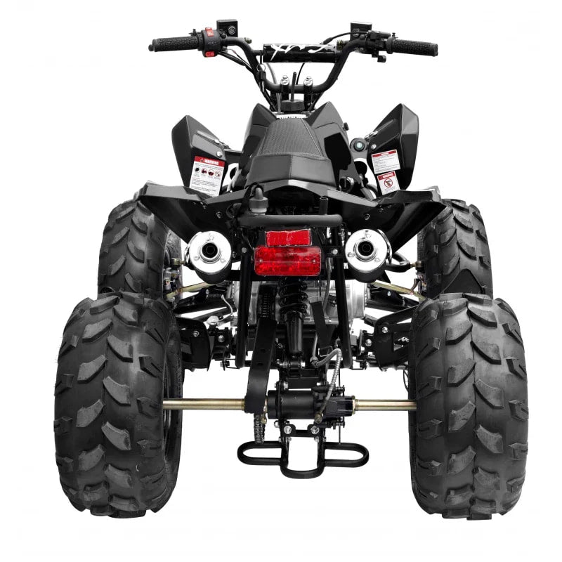 The Beast GMX 125cc Sports Kids Quad Bike