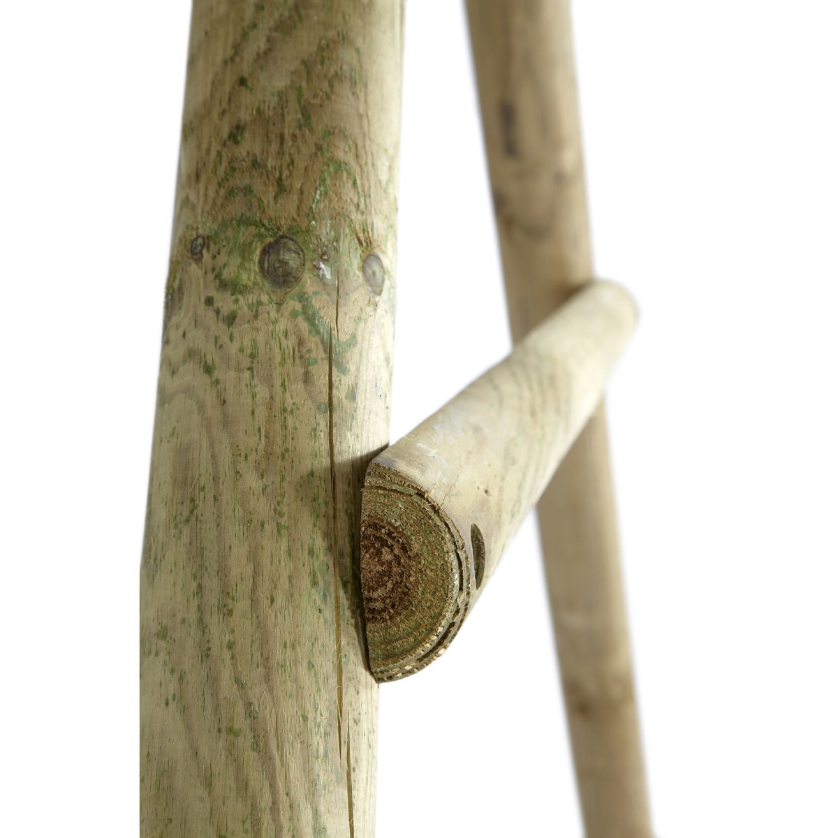 Plum Play Meerkat Wooden Swing with Slide and Glider
