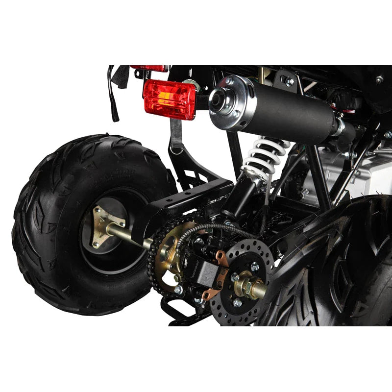 The Beast GMX 110cc Sports Kids Quad Bike - Black