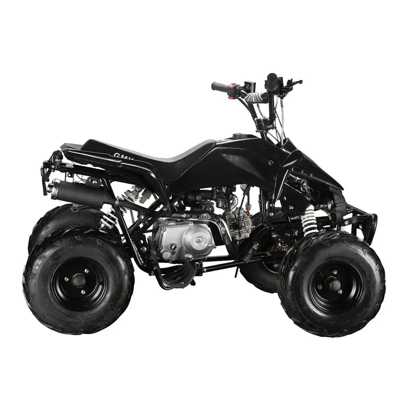 The Beast GMX 110cc Sports Kids Quad Bike - Black