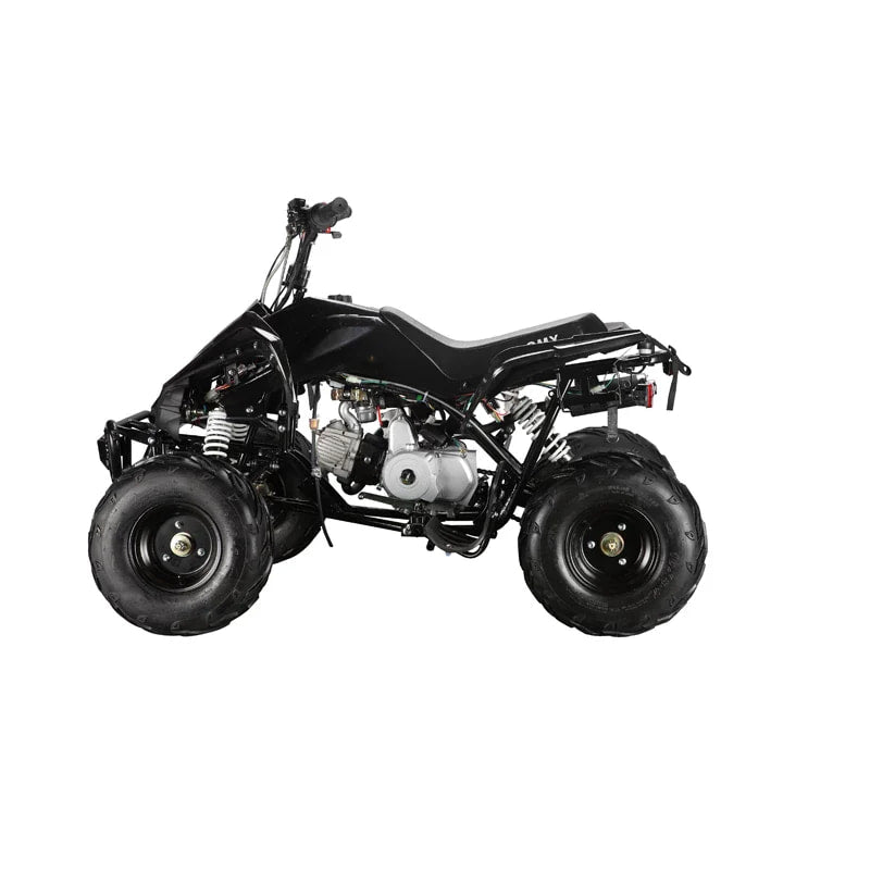 The Beast GMX 110cc Sports Kids Quad Bike - Black