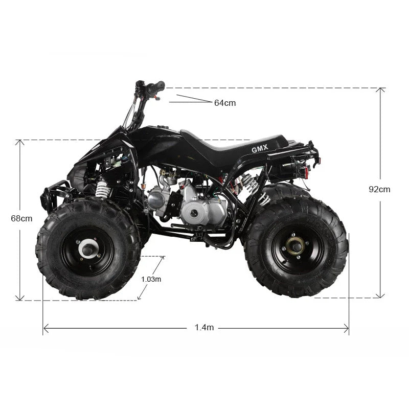 The Beast GMX 110cc Sports Kids Quad Bike - Black
