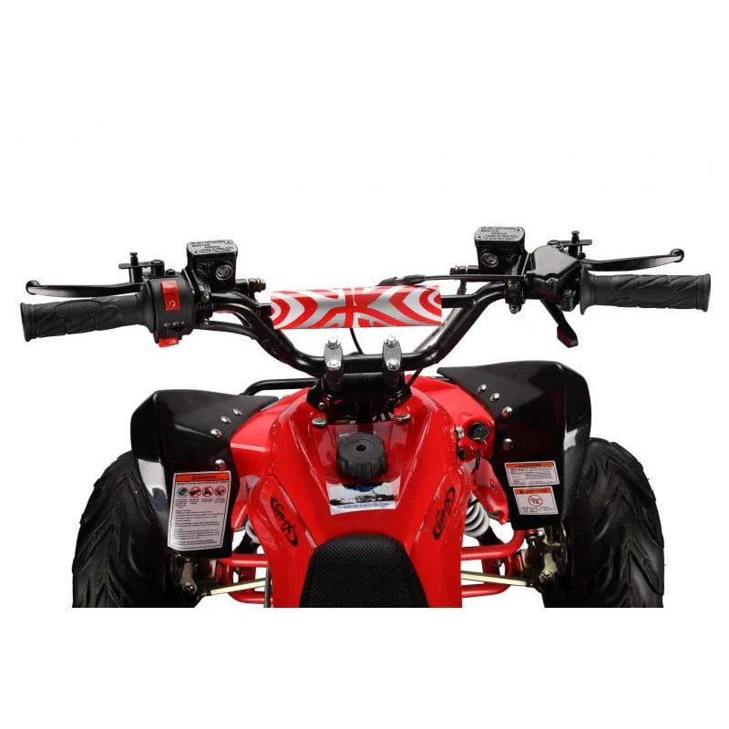 The Beast GMX 110cc Sports Kids Quad Bike - Red